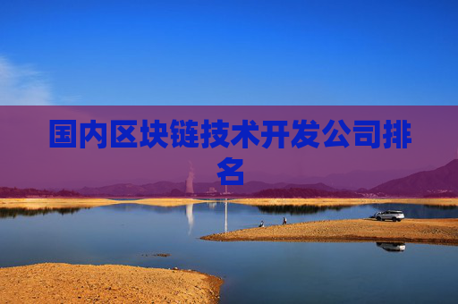 国内区块链技术开发公司排名
