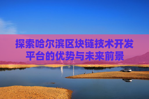 探索哈尔滨区块链技术开发平台的优势与未来前景