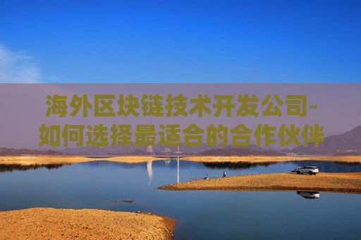 海外区块链技术开发公司-如何选择最适合的合作伙伴