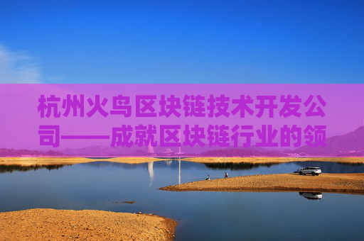 杭州火鸟区块链技术开发公司——成就区块链行业的领头羊