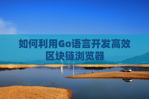 如何利用Go语言开发高效区块链浏览器