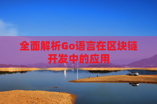 全面解析Go语言在区块链开发中的应用