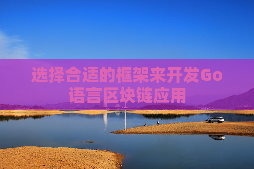 选择合适的框架来开发Go语言区块链应用