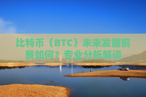 比特币（BTC）未来发展前景如何？专业分析解读