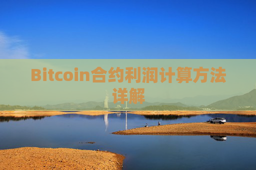 Bitcoin合约利润计算方法详解