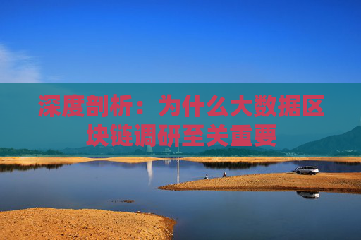 深度剖析：为什么大数据区块链调研至关重要