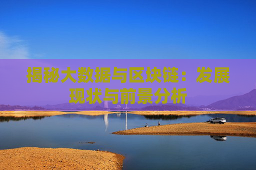 揭秘大数据与区块链：发展现状与前景分析