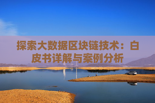 探索大数据区块链技术：白皮书详解与案例分析
