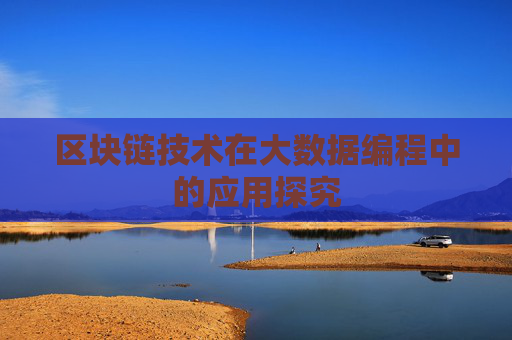 区块链技术在大数据编程中的应用探究