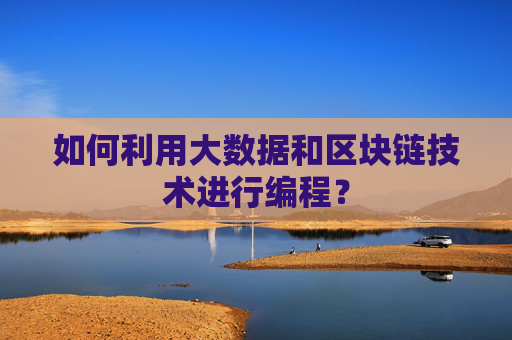 如何利用大数据和区块链技术进行编程？