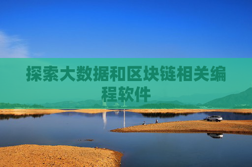 探索大数据和区块链相关编程软件