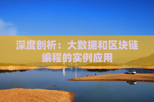深度剖析：大数据和区块链编程的实例应用