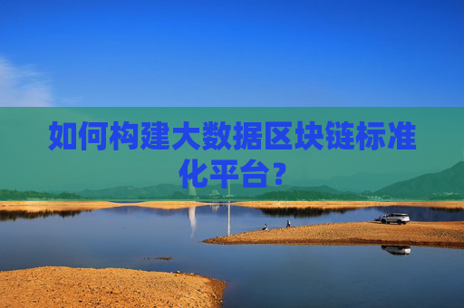 如何构建大数据区块链标准化平台？