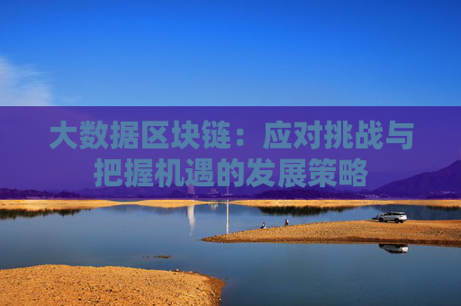 大数据区块链：应对挑战与把握机遇的发展策略