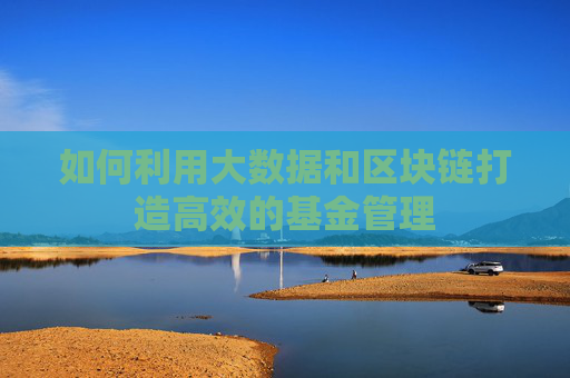 如何利用大数据和区块链打造高效的基金管理