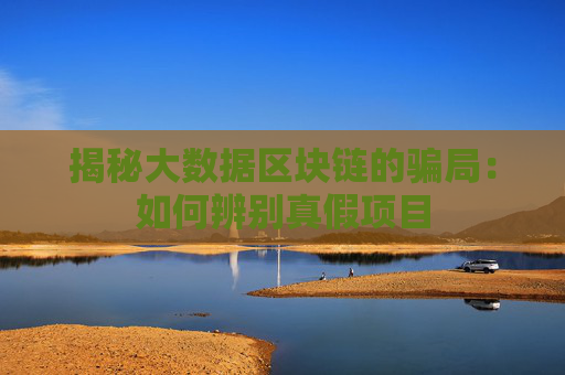 揭秘大数据区块链的骗局：如何辨别真假项目