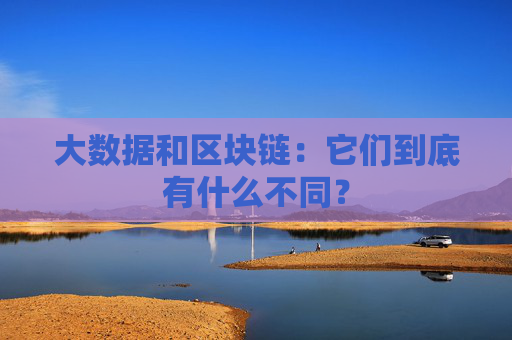 大数据和区块链：它们到底有什么不同？