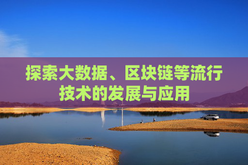 探索大数据、区块链等流行技术的发展与应用