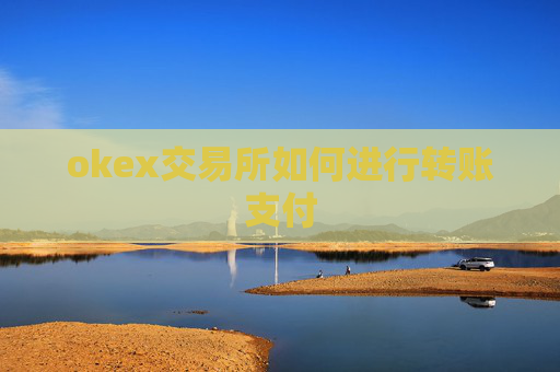 okex交易所如何进行转账支付