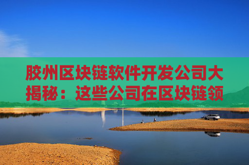 胶州区块链软件开发公司大揭秘：这些公司在区块链领域有哪些实力？