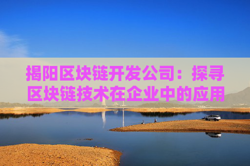 揭阳区块链开发公司：探寻区块链技术在企业中的应用与前景