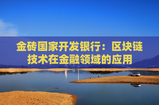 金砖国家开发银行：区块链技术在金融领域的应用
