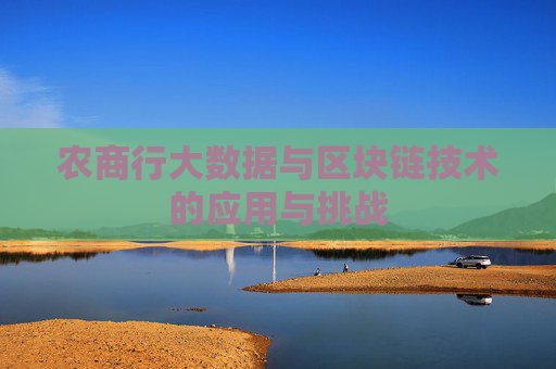 农商行大数据与区块链技术的应用与挑战
