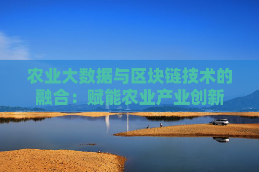 农业大数据与区块链技术的融合：赋能农业产业创新