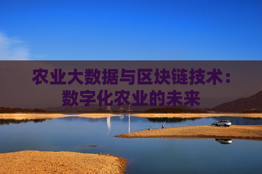 农业大数据与区块链技术：数字化农业的未来